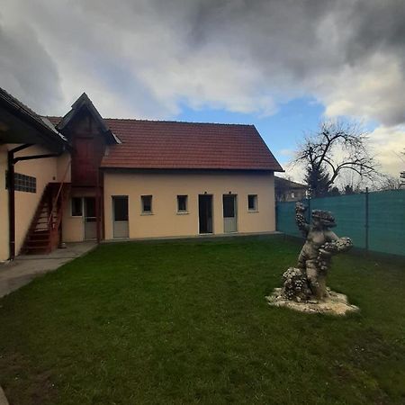 Vila Dionysos Brasov Ghimbav Buitenkant foto