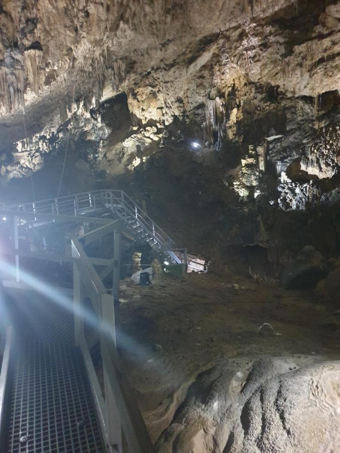 Vila Dionysos Brasov Ghimbav Buitenkant foto
