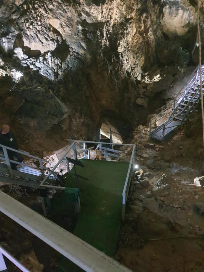 Vila Dionysos Brasov Ghimbav Buitenkant foto
