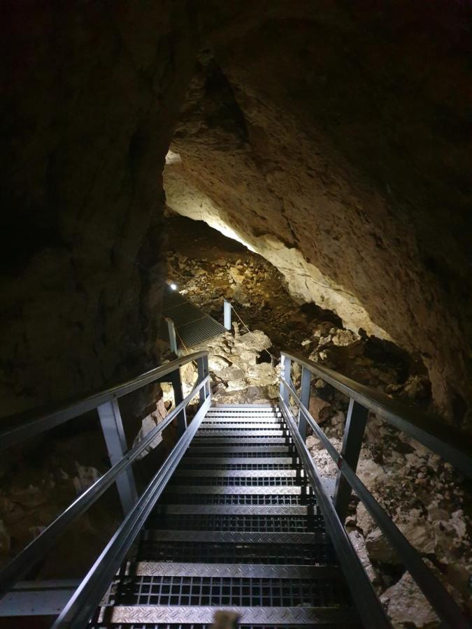 Vila Dionysos Brasov Ghimbav Buitenkant foto