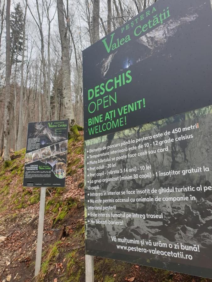 Vila Dionysos Brasov Ghimbav Buitenkant foto